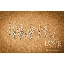 Lavender Flowers - Sweet Lavender - Laserowe LOVE