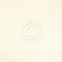 Paper - Pion White I - Pion Design Palette