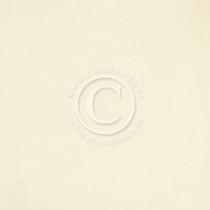 Paper - Pion White II - Pion Design Palette