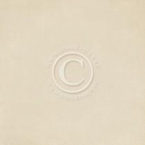 Paper - Pion Beige I - Pion Design Palette