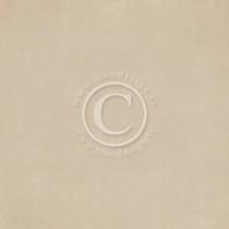 Paper - Pion Beige II - Pion Design Palette
