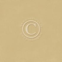 Paper - Pion Ocra I - Pion Design Palette