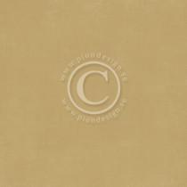 Paper - Pion Ocra II - Pion Design Palette