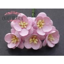 Baby Pink Mulberry Paper Cherry Blossoms - 25mm