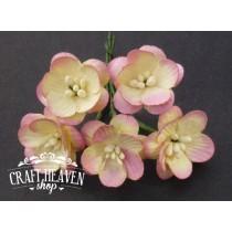 2-Tone Champagne Pink Mulberry Paper Cherry Blossoms - 25mm