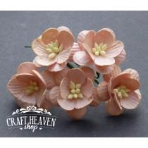 Peach Mulberry Paper Cherry Blossoms - 25mm